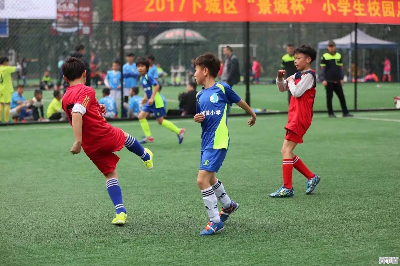 哪款足球轻弹效果好，满足你对足球的极致追求